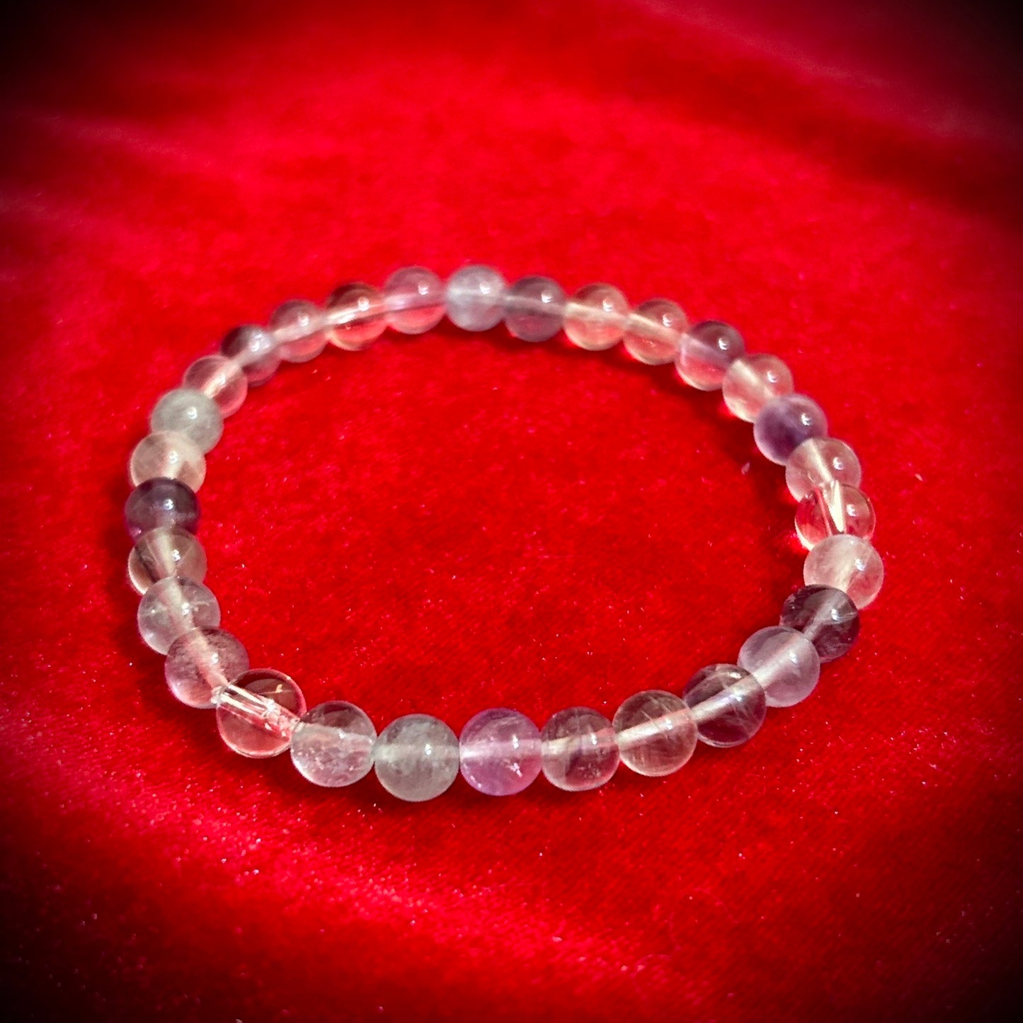 【数量限定】シュバルグラ