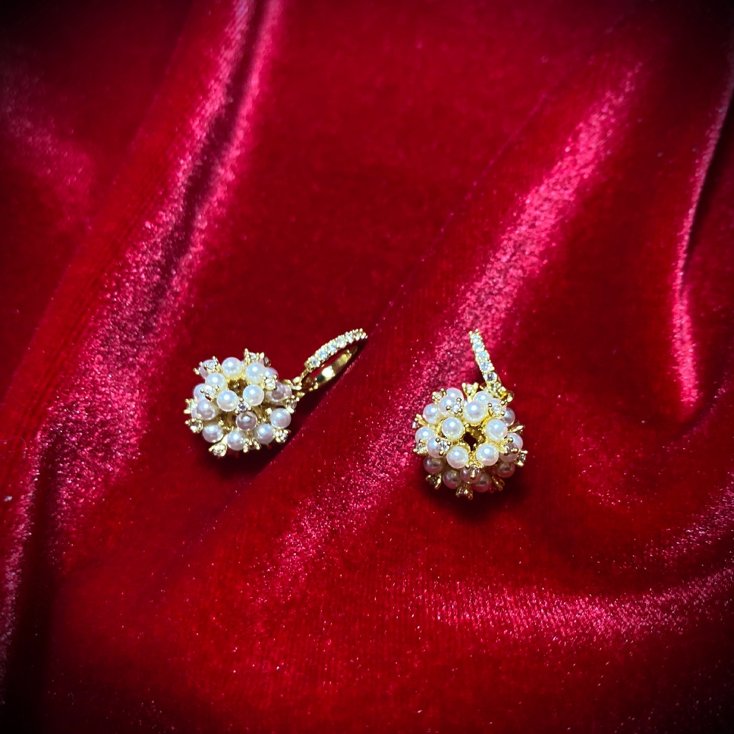 【数量限定】シュレトラ