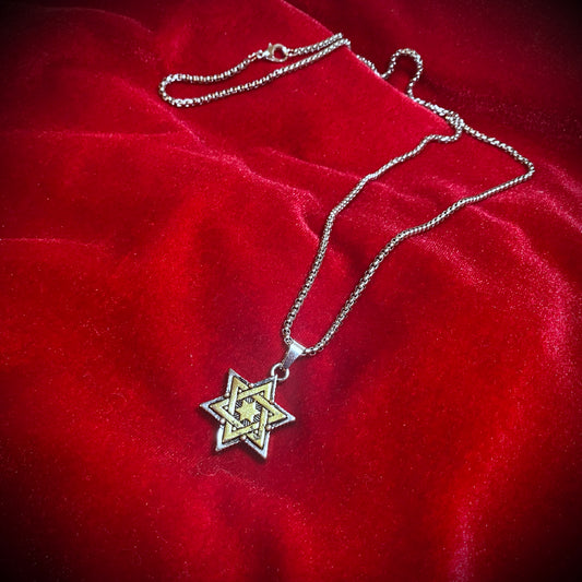 【数量限定】テリオラード