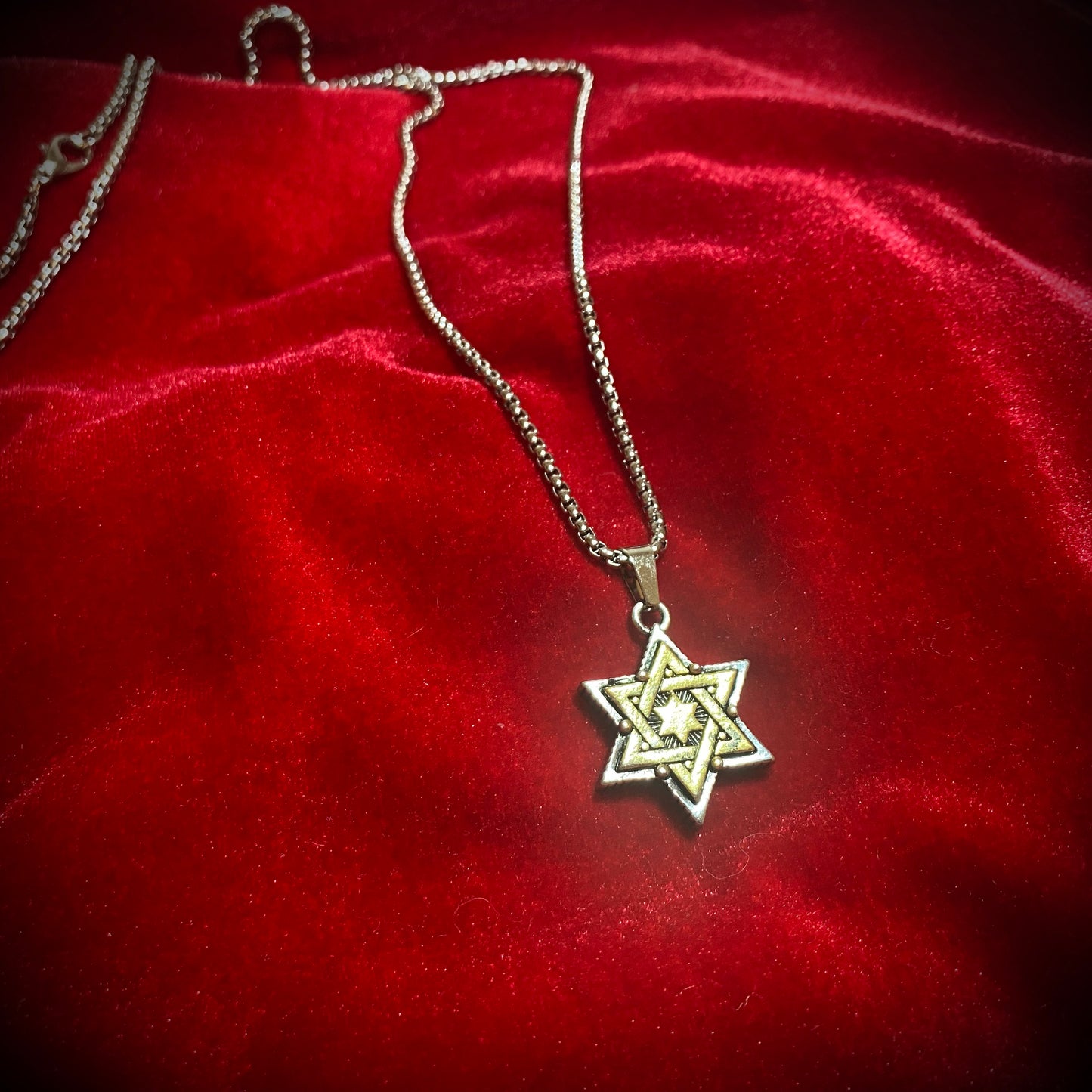 【数量限定】テリオラード