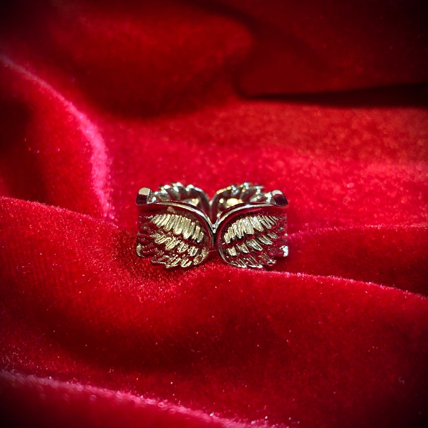 【数量限定】スティレオ