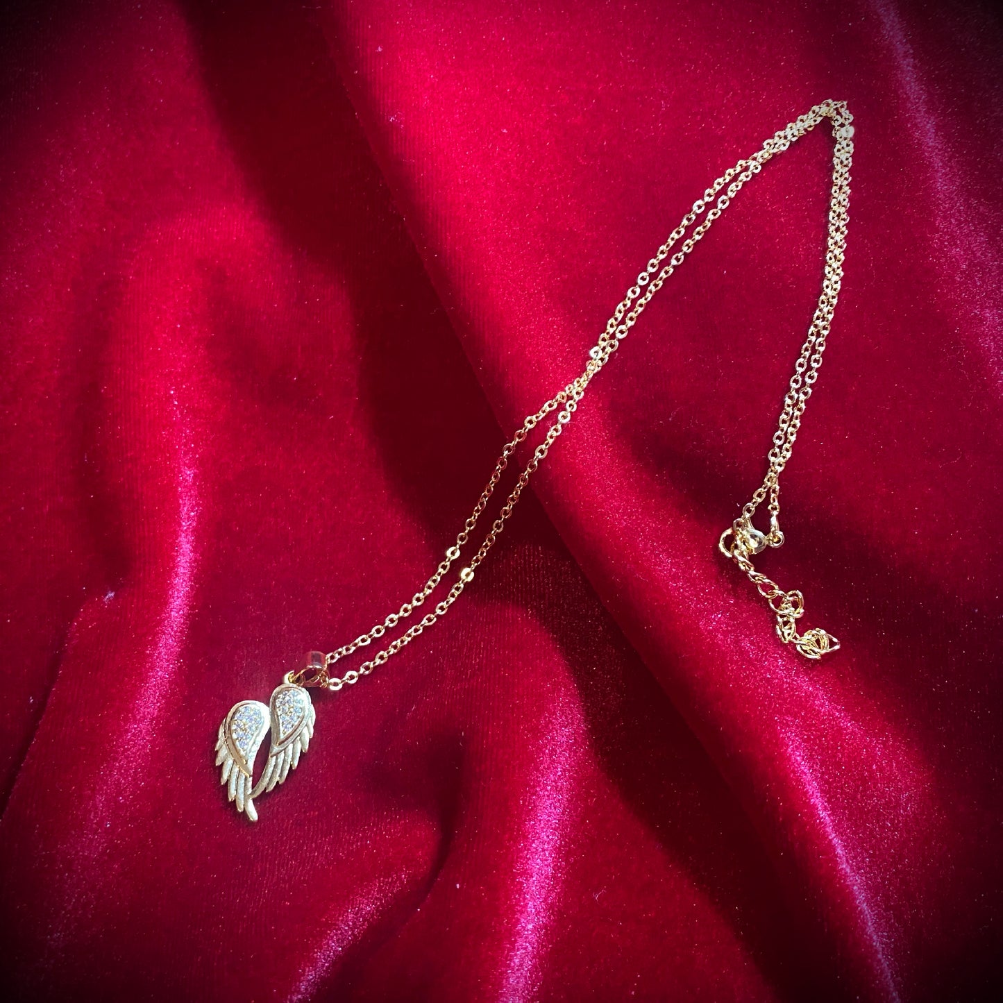 【数量限定】シュラ―ヴ