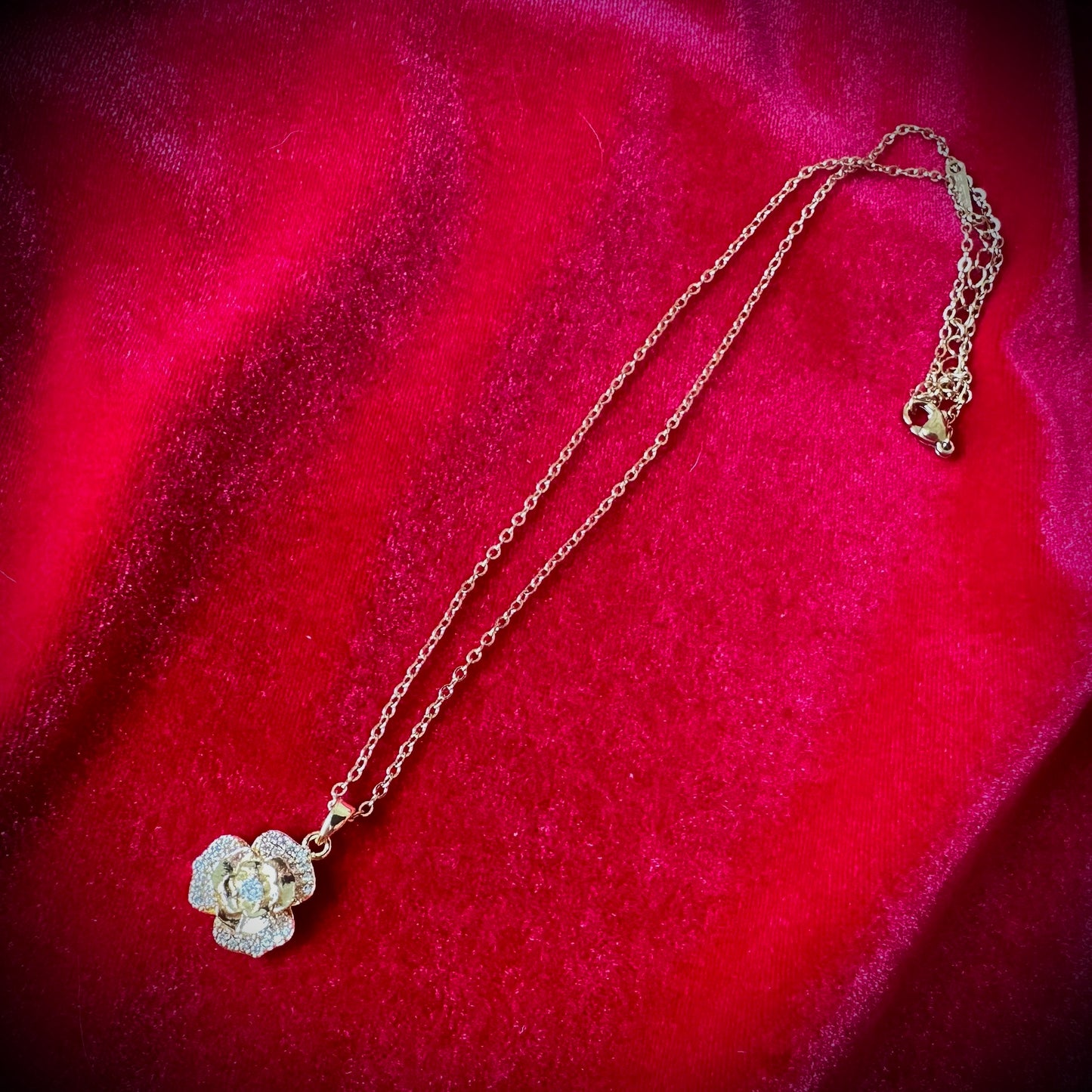 【数量限定】マルカ