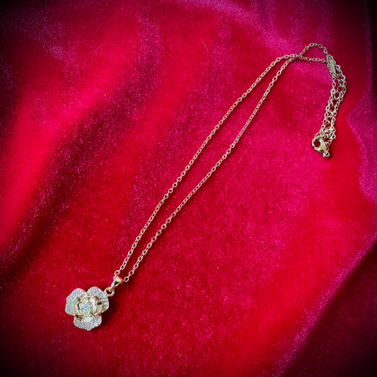 【数量限定】マルカ